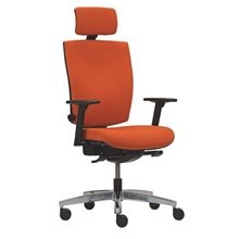 Kancelářská židle ANATOM PLUS 987.027